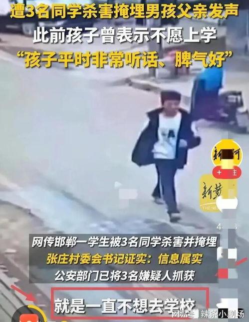 邯郸事件最新爆料,惊人内幕曝光，真相令人震惊！  第2张