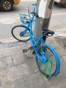 英德共享单车最新爆料,揭秘行业最新爆料与未来趋势  第3张 英德共享单车最新爆料,揭秘行业最新爆料与未来趋势  第3张