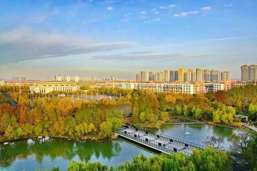 郑州大学城爆料事件最新,揭秘校园安全与管理的隐忧  第3张 郑州大学城爆料事件最新,揭秘校园安全与管理的隐忧  第3张