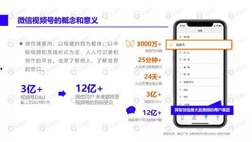 小红花爆料新闻视频下载,新闻视频下载背后的秘密  第2张 小红花爆料新闻视频下载,新闻视频下载背后的秘密  第2张