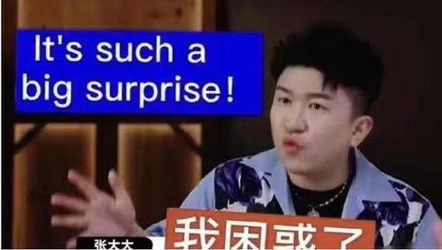 天禄小胖爆料视频大全,揭秘幕后真相与趣味瞬间  第1张