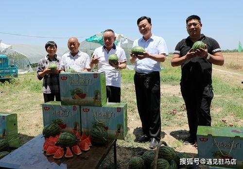 娱乐吃瓜小八哥是谁,网络红人的崛起之路  第2张 娱乐吃瓜小八哥是谁,网络红人的崛起之路  第2张