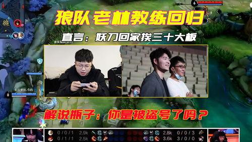 老林直播爆料回狼队视频,回狼队背后的故事与情感纠葛  第2张 老林直播爆料回狼队视频,回狼队背后的故事与情感纠葛  第2张