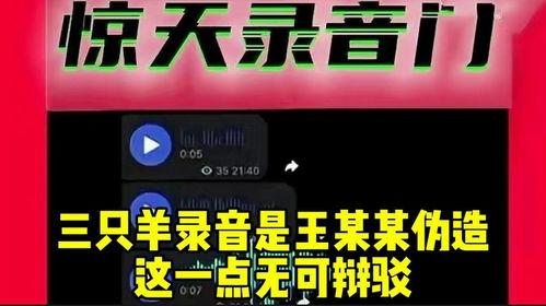 三只羊最新录音爆料,独家爆料背后的故事与真相  第3张 三只羊最新录音爆料,独家爆料背后的故事与真相  第3张