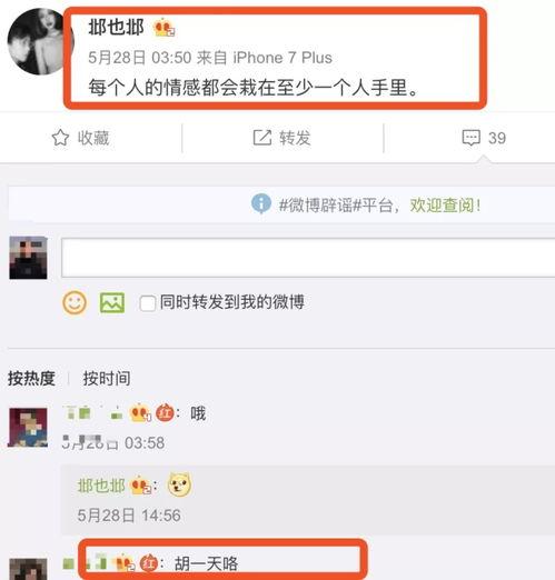 河南女士爆料微博视频,揭露惊人真相!