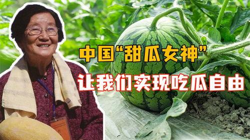 小说吃瓜女神全文阅读免费,娱乐圈的甜蜜瓜田  第3张 小说吃瓜女神全文阅读免费,娱乐圈的甜蜜瓜田  第3张