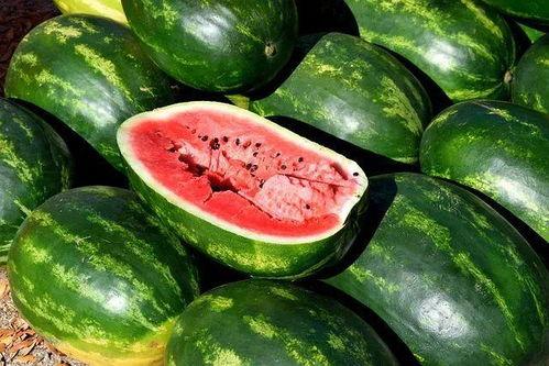吃瓜素材视频下载免费,揭秘热门素材视频免费下载攻略  第3张 吃瓜素材视频下载免费,揭秘热门素材视频免费下载攻略  第3张