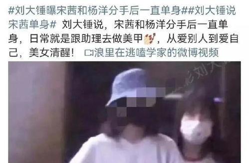 刘大锤最新爆料分手,明星情侣分手内幕大曝光!