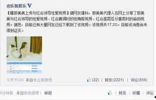怎么拍爆料视频照片,如何捕捉瞬间,记录真相  第3张 怎么拍爆料视频照片,如何捕捉瞬间,记录真相  第3张