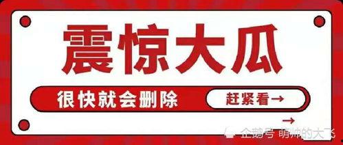 吃瓜娱乐集网页,揭秘娱乐圈幕后故事,带你领略明星生活点滴